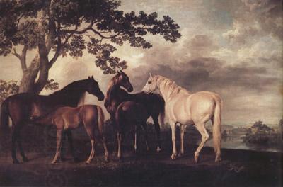 George Stubbs Mares and Foais in a Landscape (nn03) China oil painting art